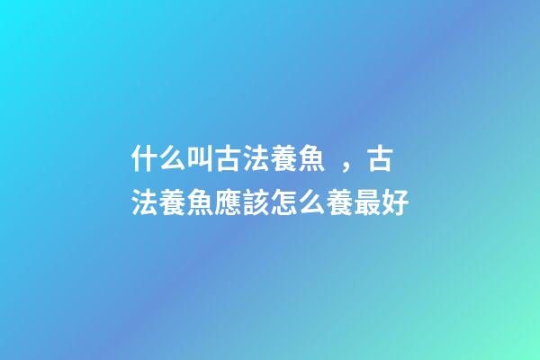 什么叫古法養魚，古法養魚應該怎么養最好-第1張-觀點-玄機派